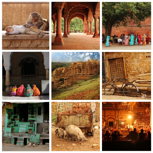 Rajasthan collage — Stockfoto