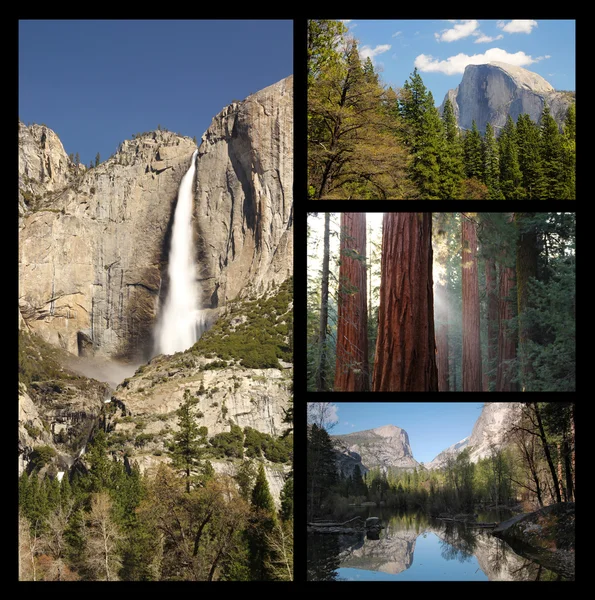 Yosemite colaj — Fotografie, imagine de stoc