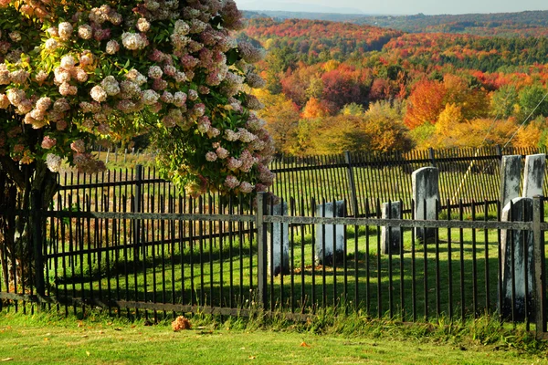 Cemetery — Stock Photo, Image