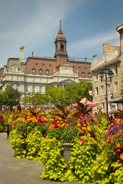 City hall, Montreal — Stock Photo, Image