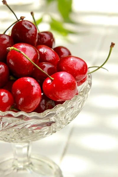 Cherry — Stock Photo, Image