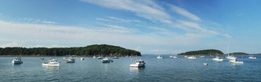 Bar harbor view