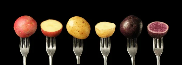 Potatoes on fork — Stock Photo, Image
