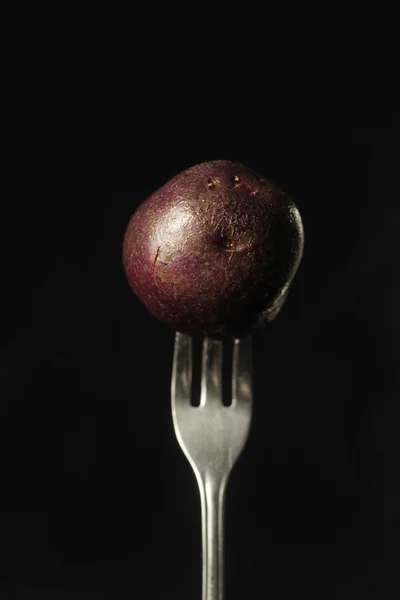 Purple potato on a fork — Stock Photo, Image