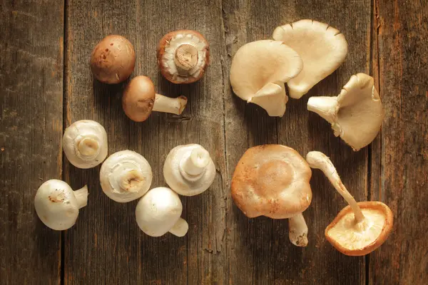 Mushrooms variety — Stock Photo, Image