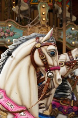 Beyaz at Carousel içinde
