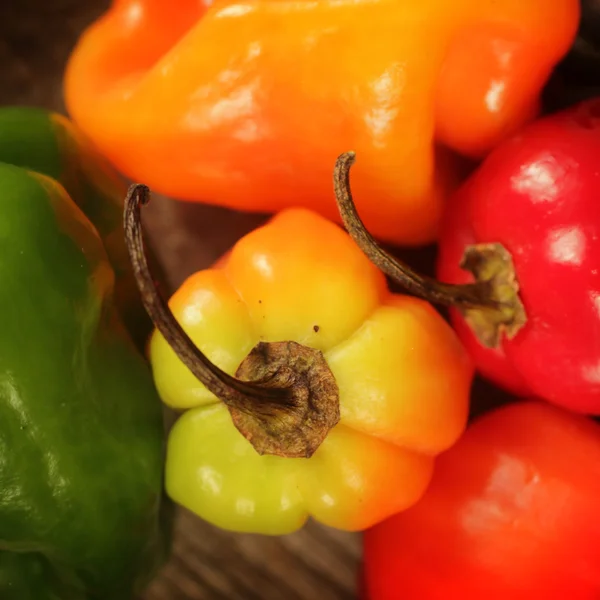 Jamaicanska peppar — Stockfoto