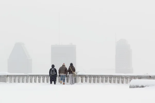 Snowstorm in Montreal city — Stock Photo, Image