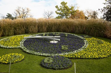 Çiçekler bir parkta saat