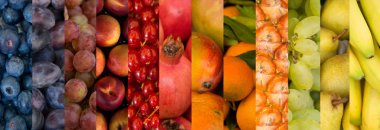 meyve varitety kolaj