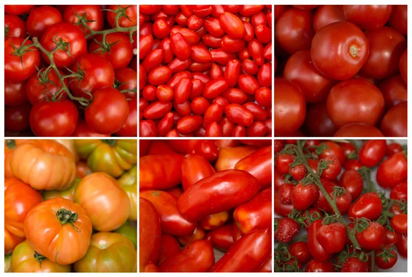 Collage di pomodori — Foto Stock