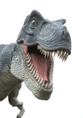 t-rex beyaz
