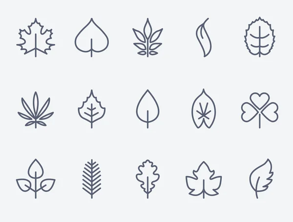 Conjunto de 15 iconos de la hoja — Vector de stock