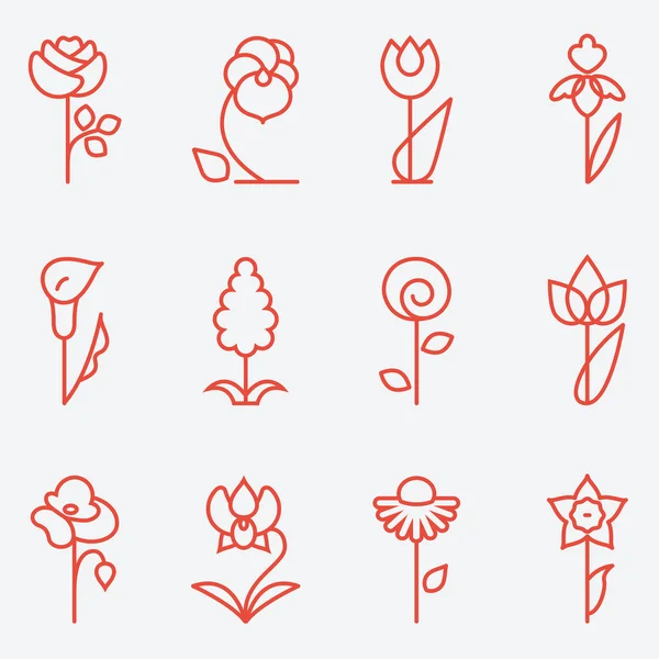 Flores Iconos — Vector de stock