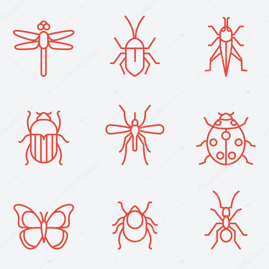 Insect icon set, thin line style, flat desig