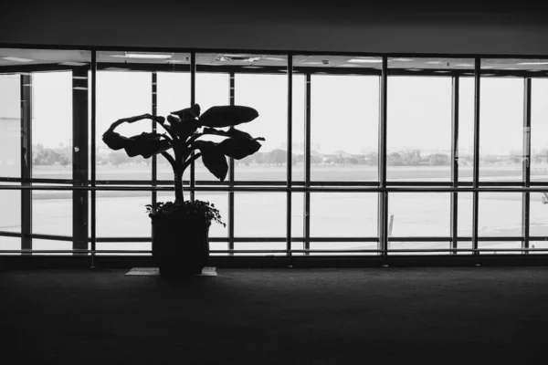 Lotnisko Spokojnej Atmosferze Abstrakcyjny Budynek Architektury Czarno Białe Tło — Zdjęcie stockowe