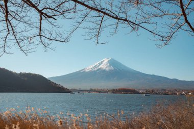Fuji Dağı, Japonya 'nın ikonik sembolü, sonbahar yaprakları mevsiminde, fevkalade güzel bir dönem. kawaguchiko, japan.