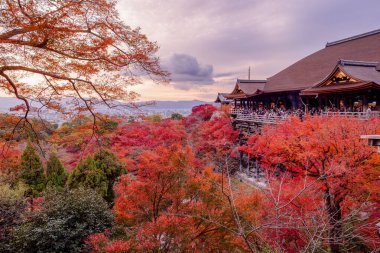 Kiyomizu-dera 'nın en güzel bakış açısı Japonya' nın Kyoto şehrinde popüler bir turizm merkezidir..