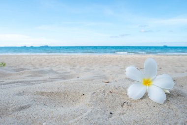 Güzel deniz yaz, kum plaj arka plan