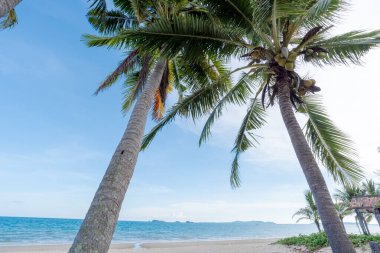 Güzel deniz yaz, kum plaj arka plan