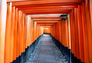 Fushimi Inari Taisha 'nın (Fushimi Inari Tapınağı) en güzel bakış açısı Japonya' nın Kyoto kentinde popüler bir turizm merkezidir. Fushimi Inari-taisha Kapısı (Fushimiinari-taisha))