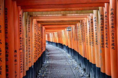 Fushimi Inari Taisha 'nın (Fushimi Inari Tapınağı) en güzel bakış açısı Japonya' nın Kyoto kentinde popüler bir turizm merkezidir. Fushimi Inari-taisha Kapısı (Fushimiinari-taisha))