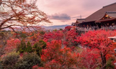 Kiyomizu-dera 'nın en güzel bakış açısı Japonya' nın Kyoto şehrinde popüler bir turizm merkezidir..