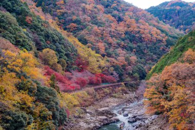 Arashiyama, Japonya 'nın Kyoto eyaletinde yer alan bir şehirdir..