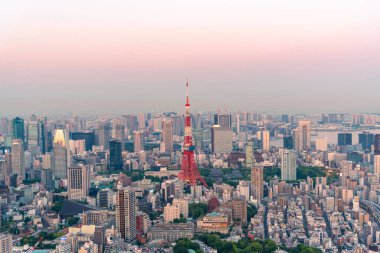 panoramic modern city skyline bird eye aerial view under sunrise and morning blue bright sky in Tokyo, Japan