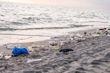 Kirli deniz kumlu kıyı, çevresel kirlilik, okyanustaki plastik su şişeleri kirliliği (Deniz enkazı)
