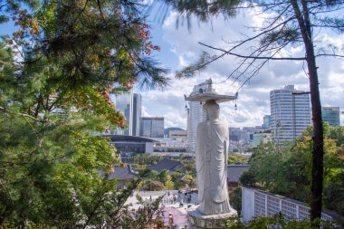 Seul şehir parkındaki panoramik, turistik yerler, Asya iş konsepti imajı, Kore 'deki panoramik modern şehir manzarası. Güney Kore 'nin en güzel manzaralı şehridir..
