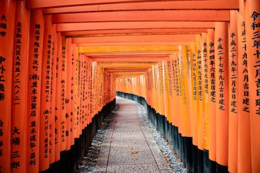 Fushimi Inari-taisha Kapısı (Fushimiinari-taisha) Cennete, Kyoto Şehri, Japonya