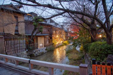 Gion, bölge gezginlerin ve ziyaretçilerin ihtiyaçlarını karşılamak için kuruldu. Sonunda Japonya 'nın en seçkin ve tanınmış geyşa bölgelerinden biri haline geldi.