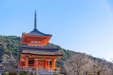 Gion, bölge gezginlerin ve ziyaretçilerin ihtiyaçlarını karşılamak için kuruldu. Sonunda Japonya 'nın en seçkin ve tanınmış geyşa bölgelerinden biri haline geldi.