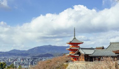 Gion, bölge gezginlerin ve ziyaretçilerin ihtiyaçlarını karşılamak için kuruldu. Sonunda Japonya 'nın en seçkin ve tanınmış geyşa bölgelerinden biri haline geldi.