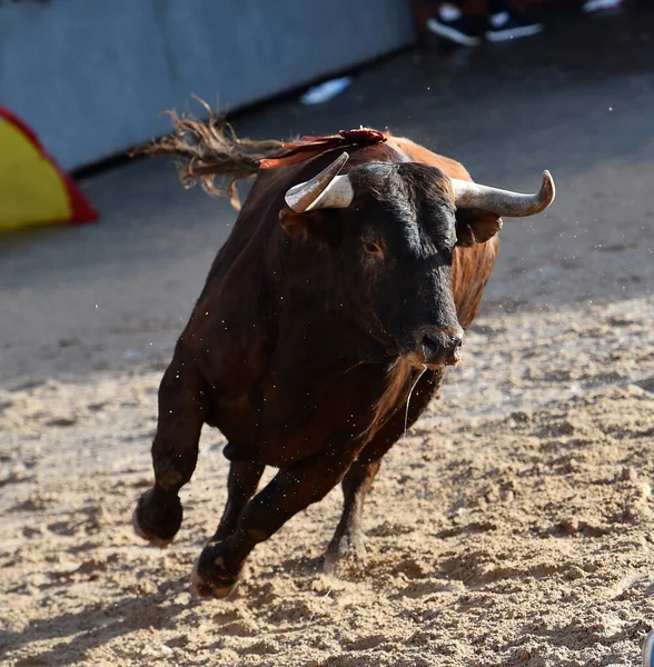 Grand Taureau Sur Spectacle Traditionnel Corrida Dans Arène — Photo