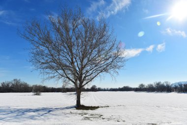 İspanya 'da güzel, karlı bir manzara