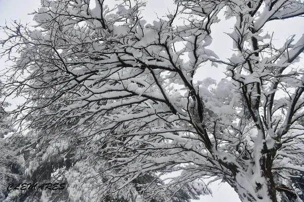 Ένα Όμορφο Χιονισμένο Τοπίο Στην Ισπανία — Φωτογραφία Αρχείου