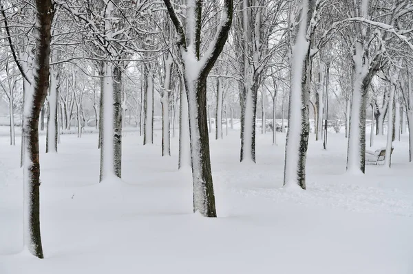 Ett Vackert Snöigt Landskap Spanien — Stockfoto