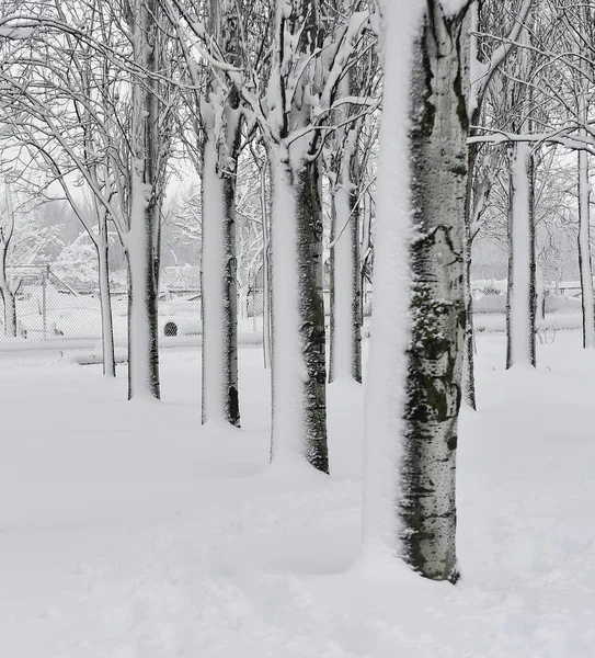 Ett Vackert Snöigt Landskap Spanien — Stockfoto