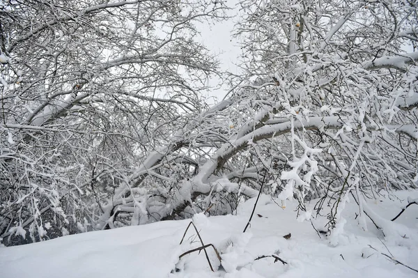 Ett Vackert Snöigt Landskap Spanien — Stockfoto