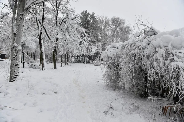 Een Prachtig Besneeuwd Landschap Spanje — Stockfoto