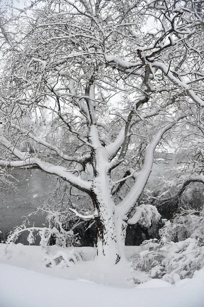 Ένα Όμορφο Χιονισμένο Τοπίο Στην Ισπανία — Φωτογραφία Αρχείου