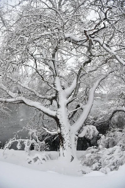 Ett Vackert Snöigt Landskap Spanien — Stockfoto