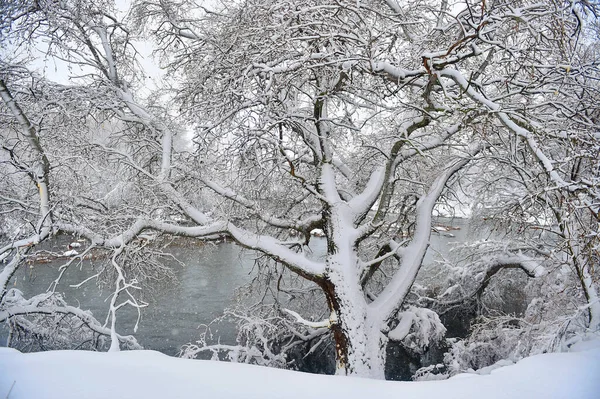 Hermoso Paisaje Nevado España — Foto de Stock