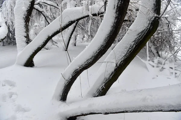 Ett Vackert Snöigt Landskap Spanien — Stockfoto