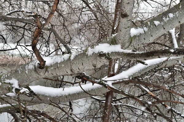 Ett Vackert Snöigt Landskap Spanien — Stockfoto