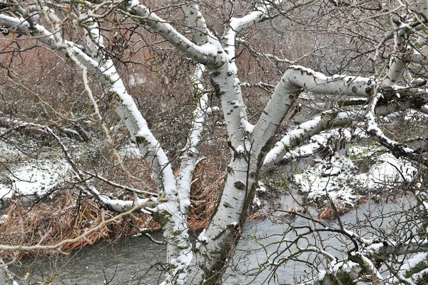 Ett Vackert Snöigt Landskap Spanien — Stockfoto