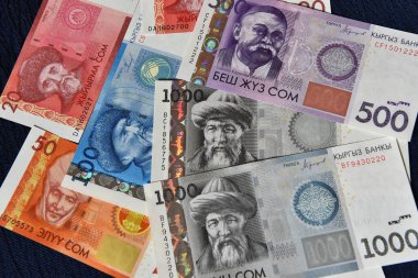 Efendim, Kirguistan 'ın şu anki parası.