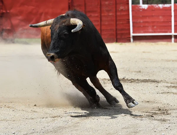 Stor Tjur Ett Traditionellt Spektakel Tjurfäktning Spanien — Stockfoto